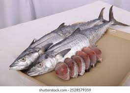 King fish/konam/Seer fish/ Vanjiram